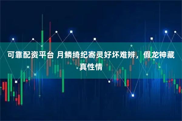 可靠配资平台 月鳞绮纪寄灵好坏难辨，假龙神藏真性情