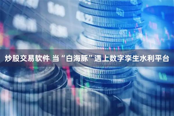 炒股交易软件 当“白海豚”遇上数字孪生水利平台